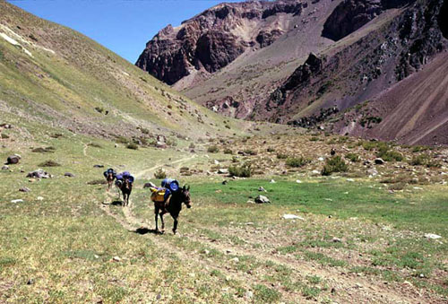 aconcagua-005