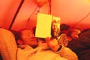 5_denali_029