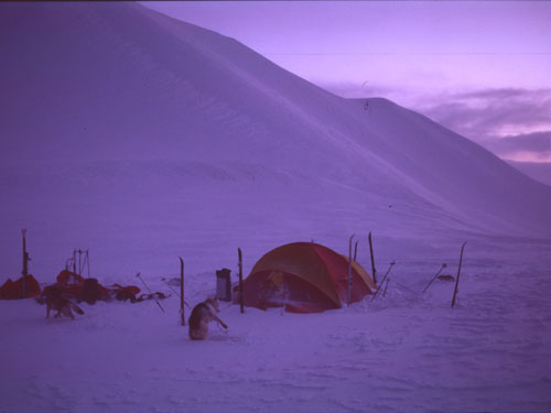 skitur_svalbard-1