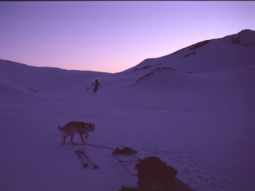 skitur_svalbard-10