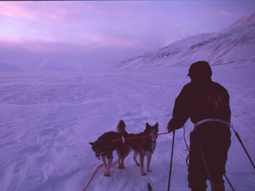 skitur_svalbard-26