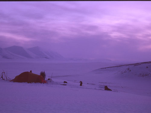 skitur_svalbard-41